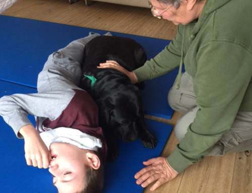 Therapiehunde-Einsatz
