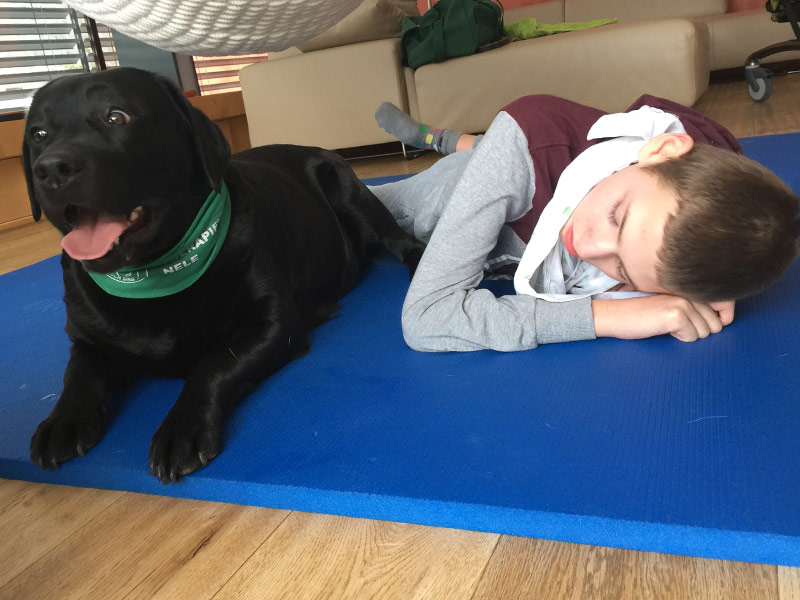 therapiehundeeinsatz-nele-mit-max