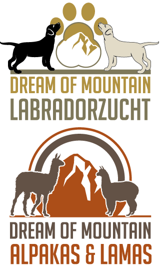 dreamofmountain-labrador-alpaka-lamas