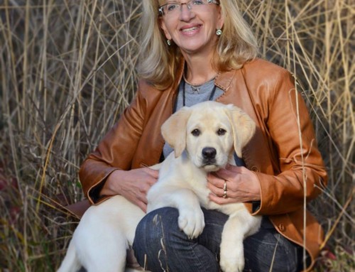 Geld Schnüffel Hund