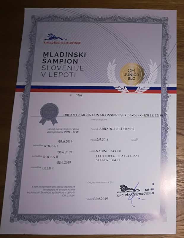 Kim-slowenischer-jugendchampion