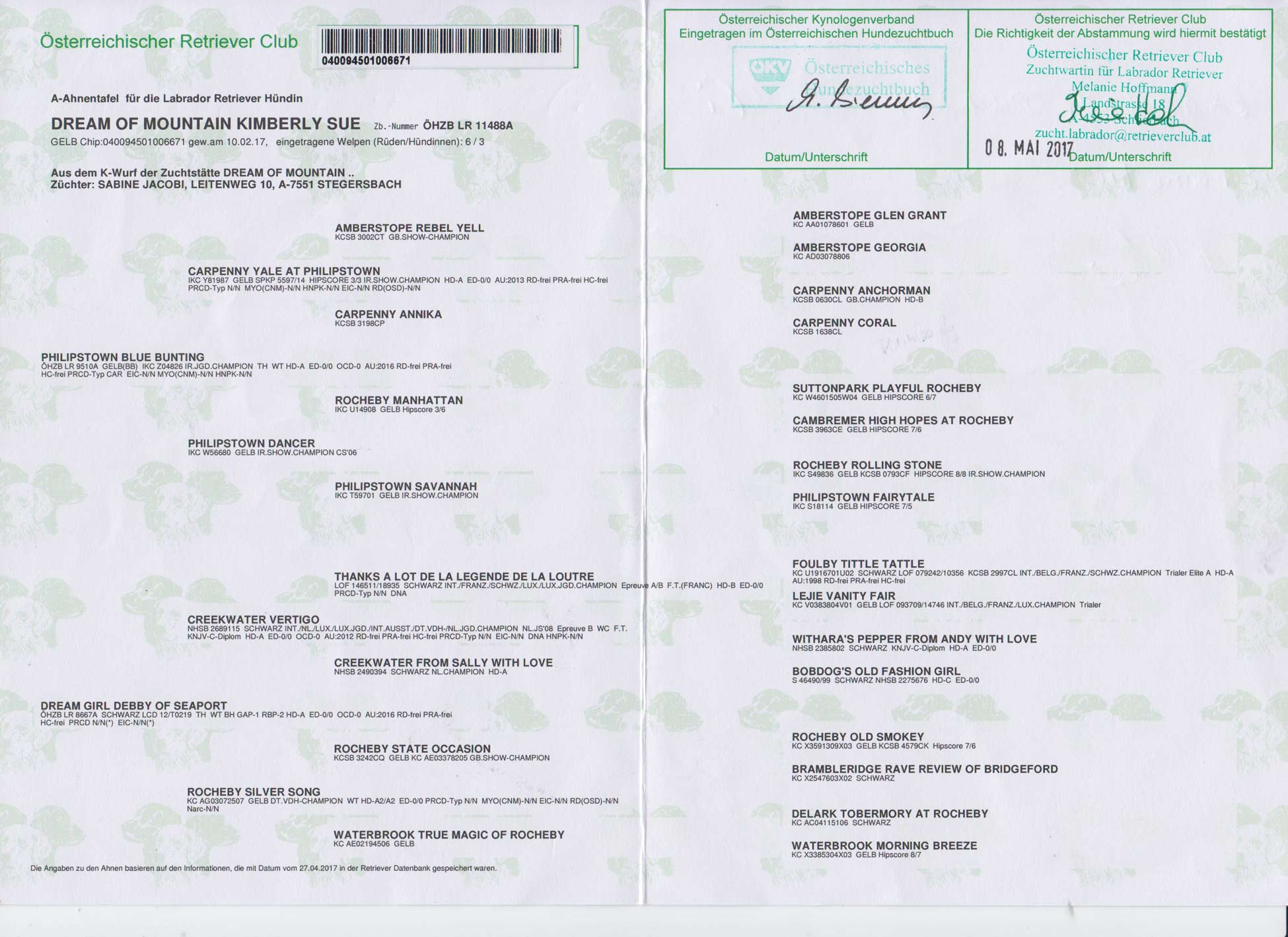 Pedigree Kimberly Sue - Labrador Hündin gelb