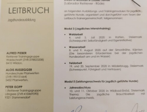 Jontes Jagdhundeausbildung